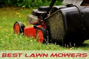 Best Lawn Mowers